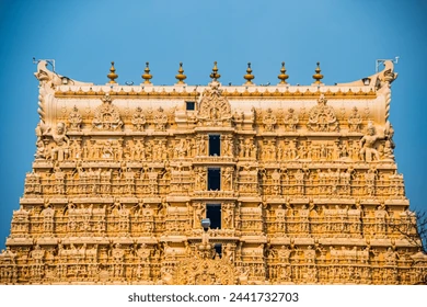 Munnar Sightseeing Taxi - Best Cabs for Tour Packages